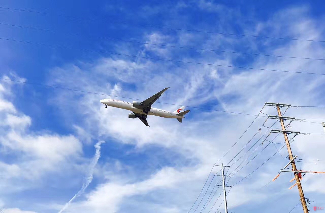 準(zhǔn)父母試管嬰兒好孕美國，坐飛機(jī)回中國