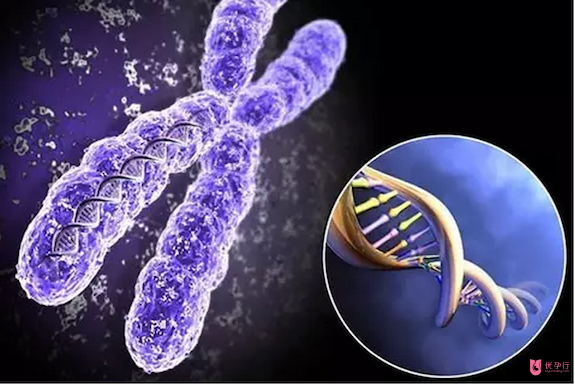 試管嬰兒周期這么辛苦，千萬不要讓你的試管之路毀在這一步！