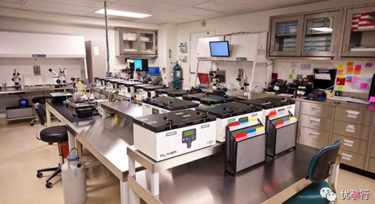 美國試管嬰兒到底牛在哪？