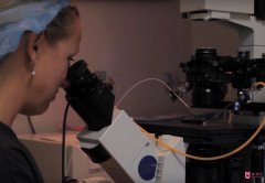 為什么美國(guó)試管嬰兒醫(yī)生會(huì)建議減胎