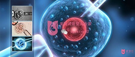 優(yōu)孕行全面揭秘：美國(guó)試管嬰兒成功率為何如此之高？