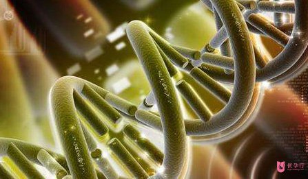 1505737147494856.jpg ask.jpg