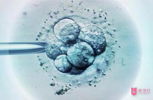 俄羅斯試管嬰兒胚胎移植后黃體酮需要打多久？?jī)?yōu)孕行解答