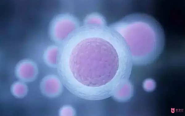 俄羅斯試管嬰兒方案，讓多次試管失敗的家庭重獲希望！