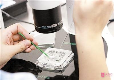 俄羅斯做試管嬰兒的費用要多少？都包括哪些？