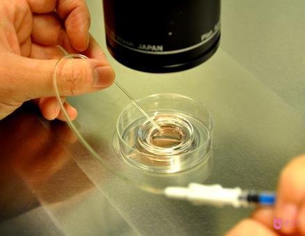 俄羅斯第三代試管嬰兒費(fèi)用為什么比前兩代高，到底高在哪里？