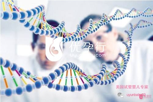 美國(guó)試管嬰兒