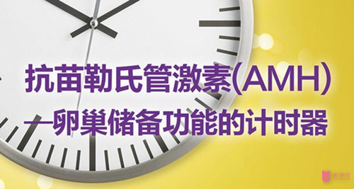 美國(guó)試管嬰兒