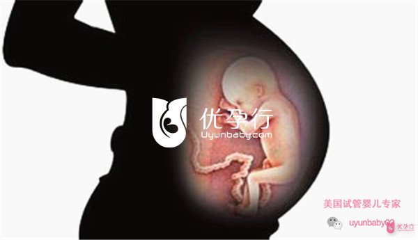 美國(guó)試管嬰兒