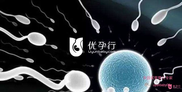 美國(guó)試管嬰兒