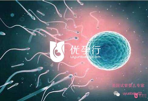 美國(guó)試管嬰兒
