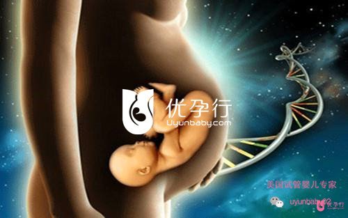 美國試管嬰兒