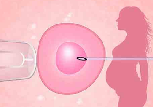 優(yōu)孕行與泰國蘇佩兒試管嬰兒醫(yī)院、南陽不孕不