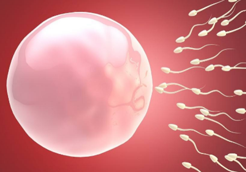 SART美國試管嬰兒協(xié)會：IVF周期取消的條件有哪些
