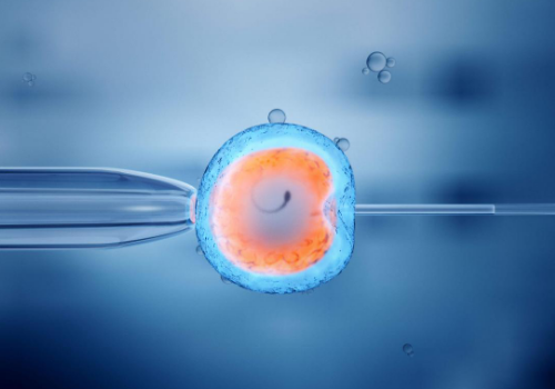 泰國(guó)試管移植后要臥床不起嗎?大部分人都做錯(cuò)了