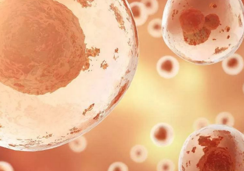 俄羅斯試管嬰兒取卵過(guò)程的注意事項(xiàng)有什么