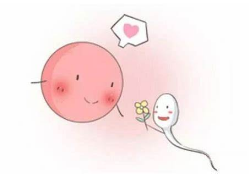 沒有月經(jīng)哪里可以做試管嬰兒