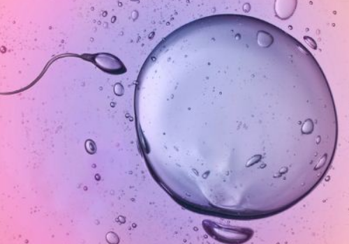 情人節(jié)較感動的禮物：送她個(gè)試管寶寶