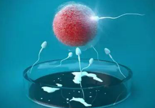 美國試管嬰兒更容易生嗎