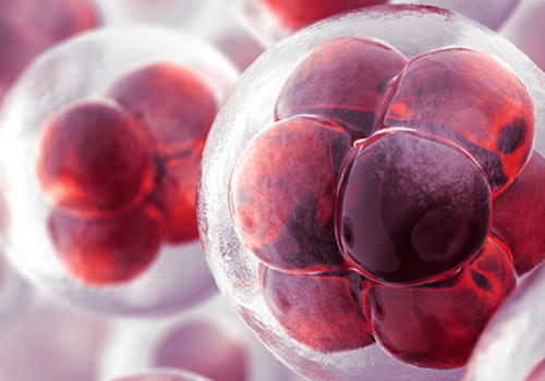 厲害了word姐！姚晨昨日產(chǎn)女，別人家的兒女雙全