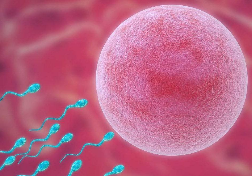 一千零一試管嬰兒故事009：史上較全的美國(guó)問答