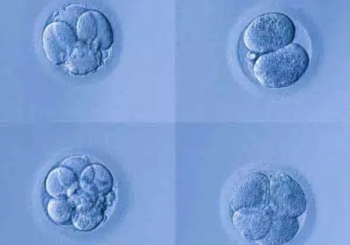 胚胎順利著床，保證美國試管嬰兒成功率