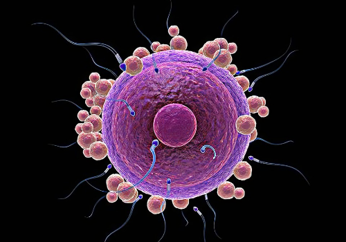 哪些運(yùn)動(dòng)有助于俄羅斯的試管嬰兒的進(jìn)行