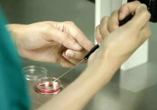 情人節(jié)這天，讓大齡試管媽媽好孕到來