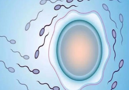 一千零一試管嬰兒故事008：俄羅斯和美國(guó)第三方輔助生殖費(fèi)