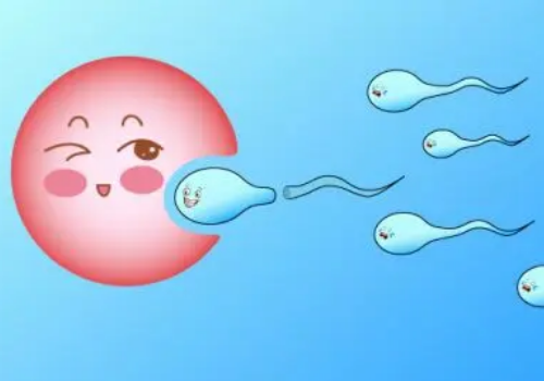 哪些因素阻礙著美國試管嬰兒的成功率