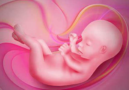 一千零一試管泰國嬰兒故事012：人流要慎重