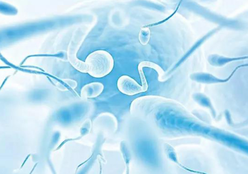 一張圖看懂試管嬰兒卵泡監(jiān)測,沒想到竟如此重要!