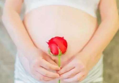 試管嬰兒成功有三靠：一靠胚胎、二靠母體、三