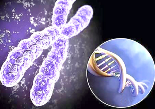 美國試管嬰兒成功率與什么因素有關(guān)