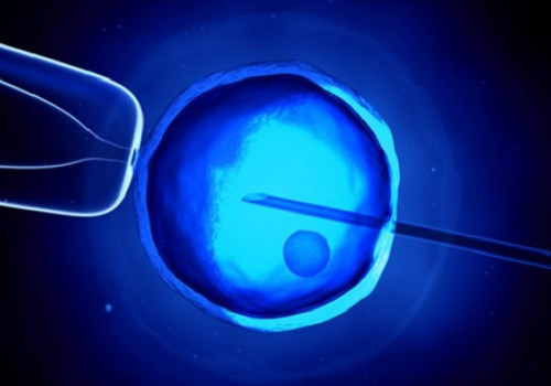 試管嬰兒囊胚移植后會出現(xiàn)哪些不適反應