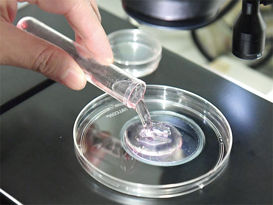 外媒稱中國試管嬰兒需求激增，海外孕育成熱門！