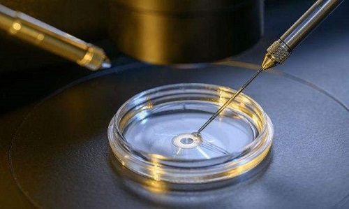 泰國(guó)試管嬰兒哪家服務(wù)好