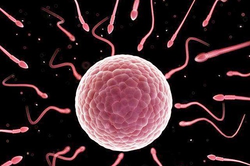 美國(guó)試管嬰兒詳細(xì)費(fèi)用怎么收取呢