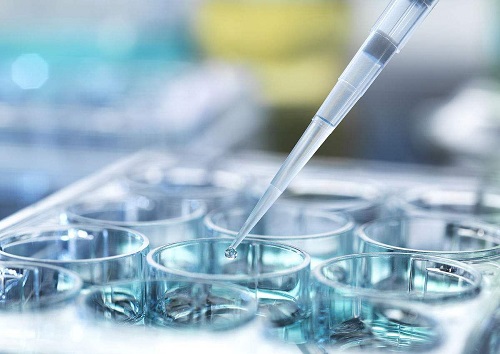 美國的試管嬰兒費(fèi)用大概是多少呢