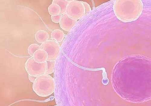 美國醫(yī)院試管哪家好