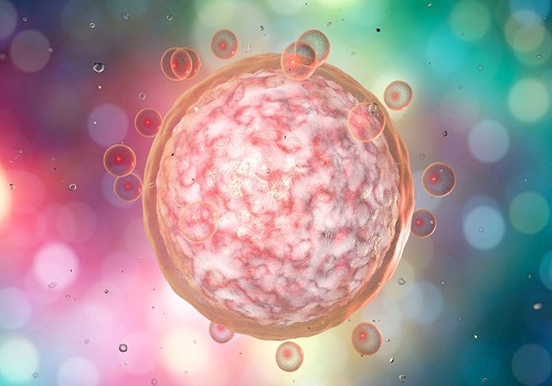 泰國(guó)試管嬰兒醫(yī)院的費(fèi)用