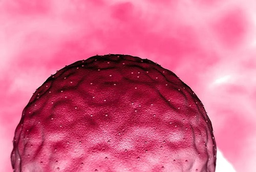 俄羅斯試管醫(yī)院哪兒成功率高