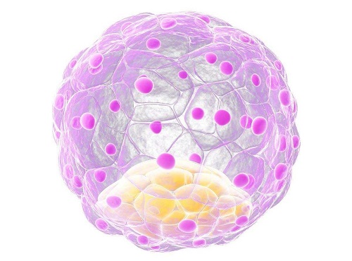 美國有哪些正規(guī)的三代試管醫(yī)院