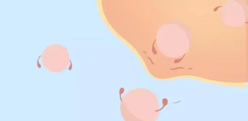 做美國(guó)試管嬰兒費(fèi)用大約多少