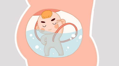 俄羅斯第三代試管嬰兒醫(yī)院費(fèi)用大約多少