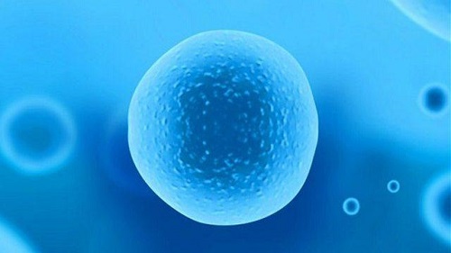 泰國試管嬰兒費用多少錢一次