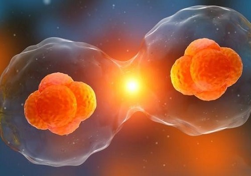 能根據(jù)冷凍技術(shù)好壞選美國試管嬰兒醫(yī)院嗎