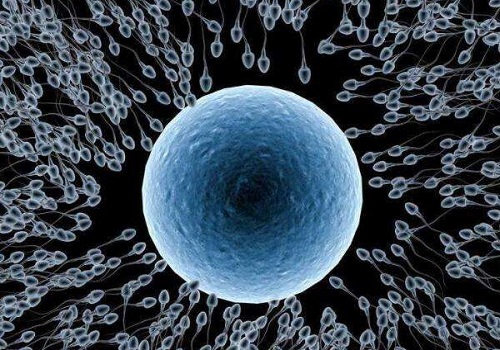 2022較新泰國(guó)試管嬰兒費(fèi)用明細(xì)如何