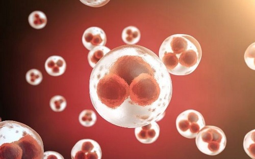 泰國(guó)試管嬰兒機(jī)構(gòu)如何選擇