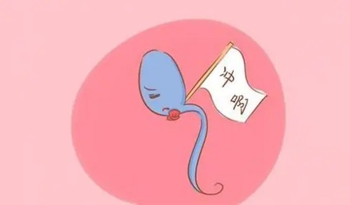 目前美國(guó)試管嬰兒成功率是多少